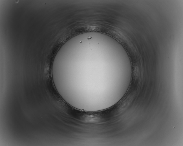 X0000089400557200706291409