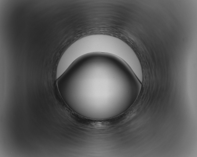 X0000089400558200706291409