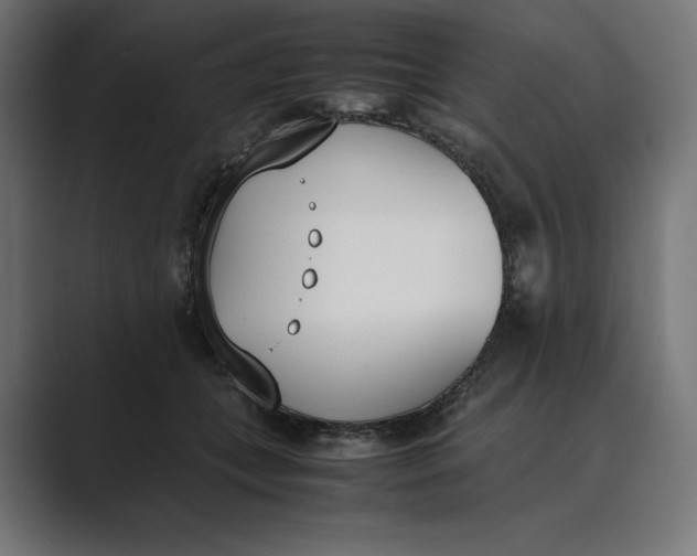 X0000089400559200706291409