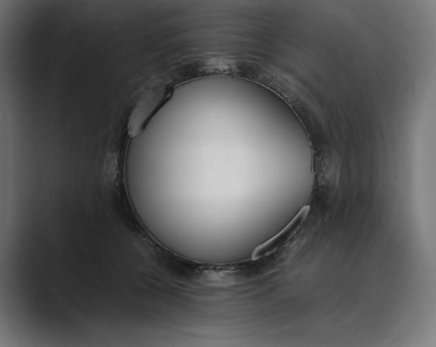 X0000089400560200706291409