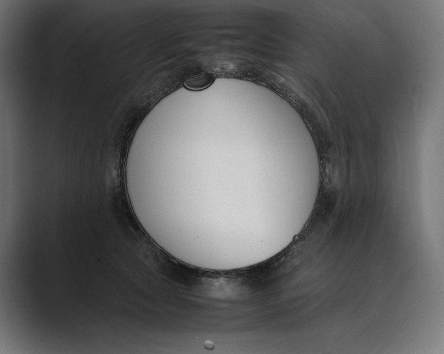 X0000089400561200706291409