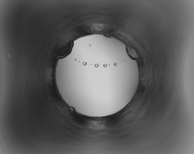 X0000089400563200706291409