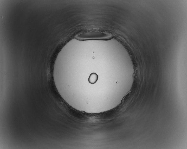 X0000089400564200706291409