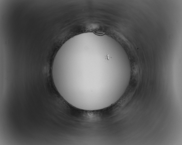 X0000089400565200706291409