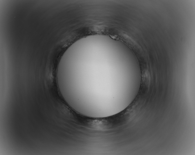 X0000089400566200706291409