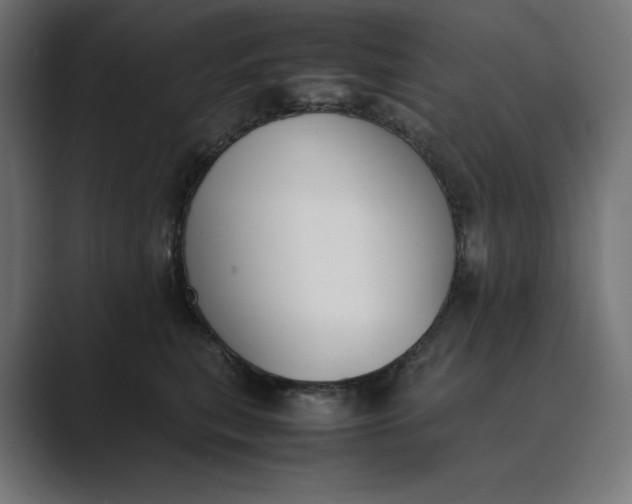 X0000089400567200706291409