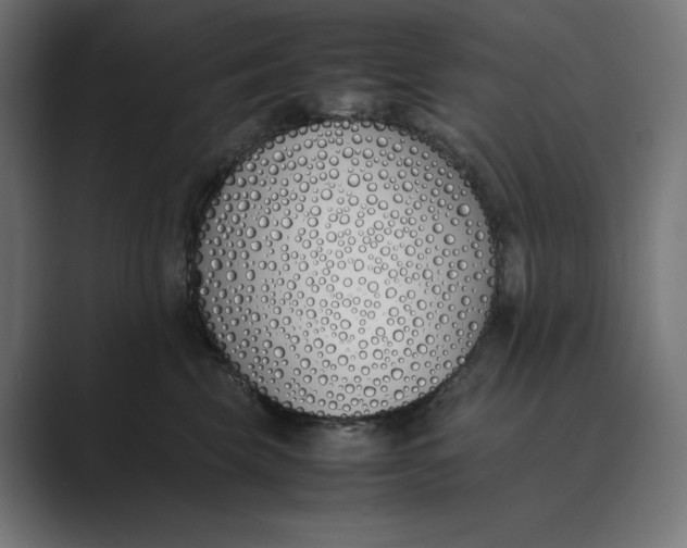 X0000089400569200706291409