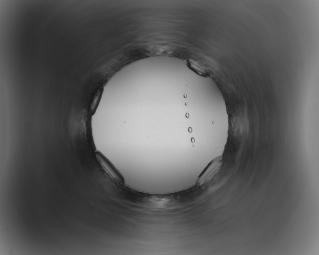 X0000089400570200706291409