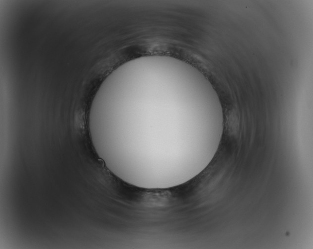 X0000089400571200706291409