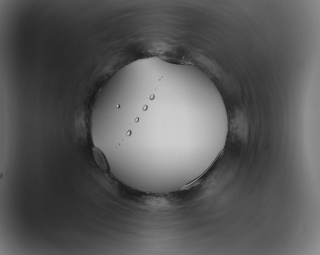 X0000089400572200706291409