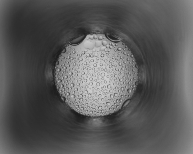 X0000089400573200706291409