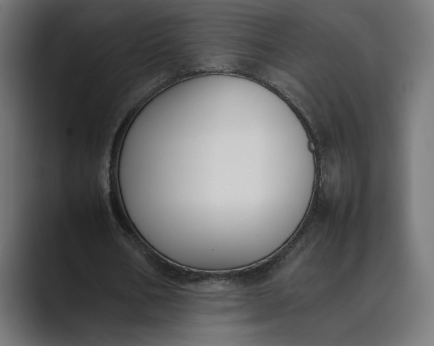 X0000089400578200706291409