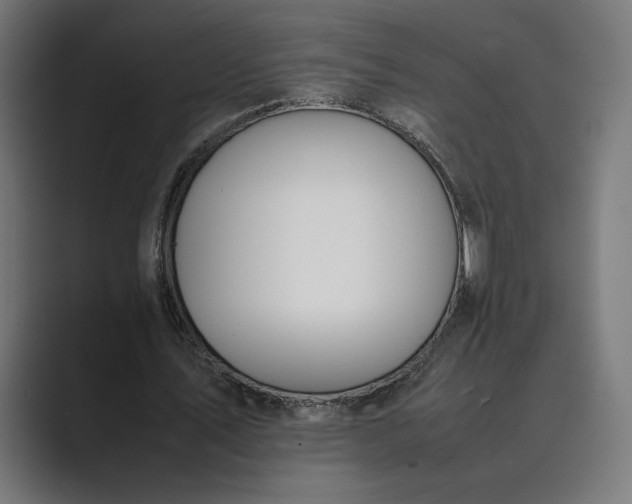 X0000089400579200706291409