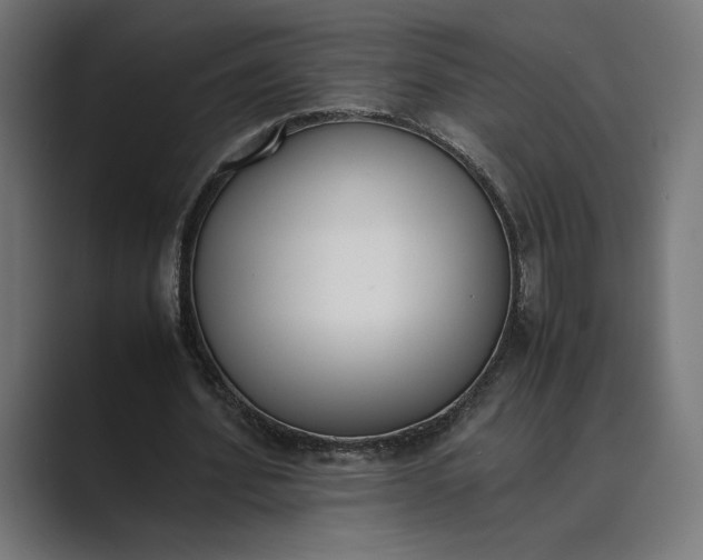 X0000089400580200706291409