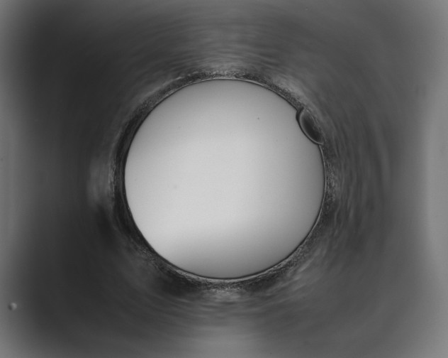 X0000089400583200706291409