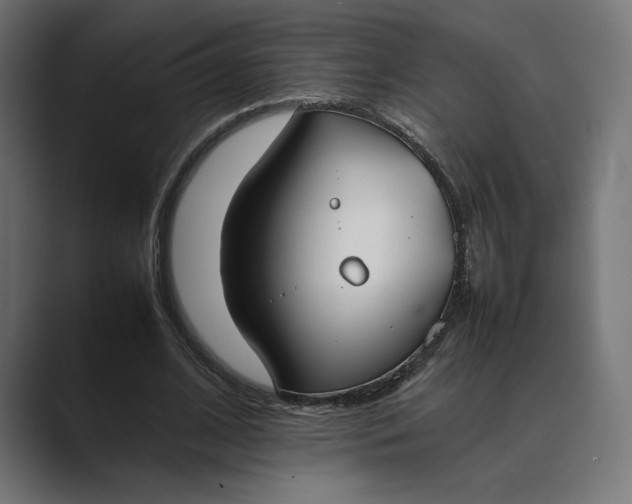 X0000089400584200706291409