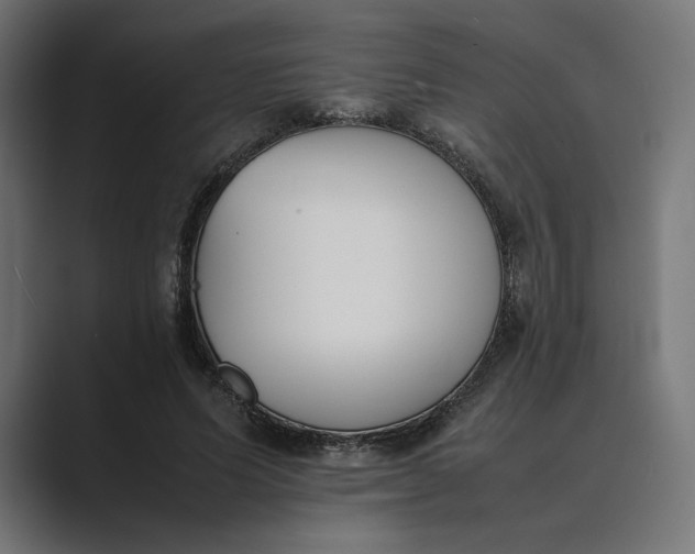 X0000089400591200706291408