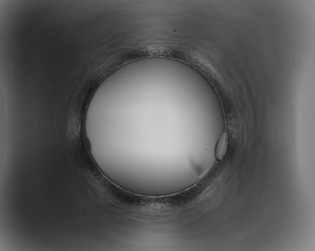 X0000089400593200706291408