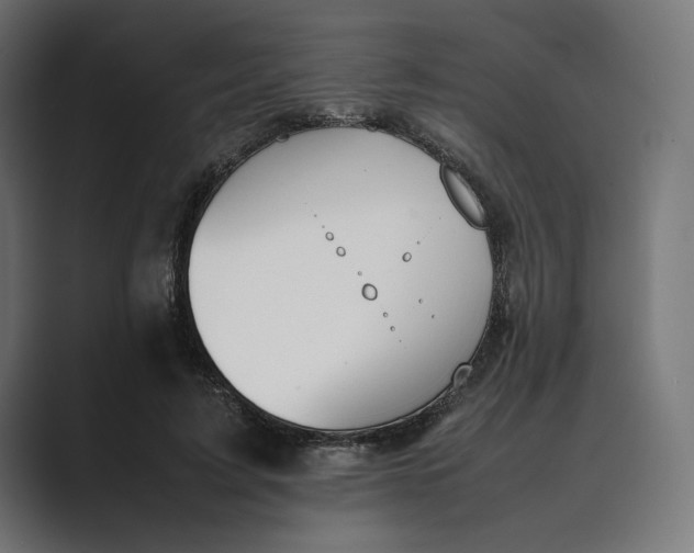 X0000089400595200706291408