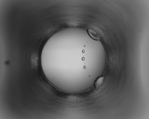 X0000089400596200706291408