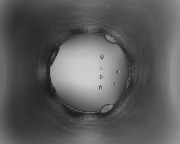 X0000089400597200706291408