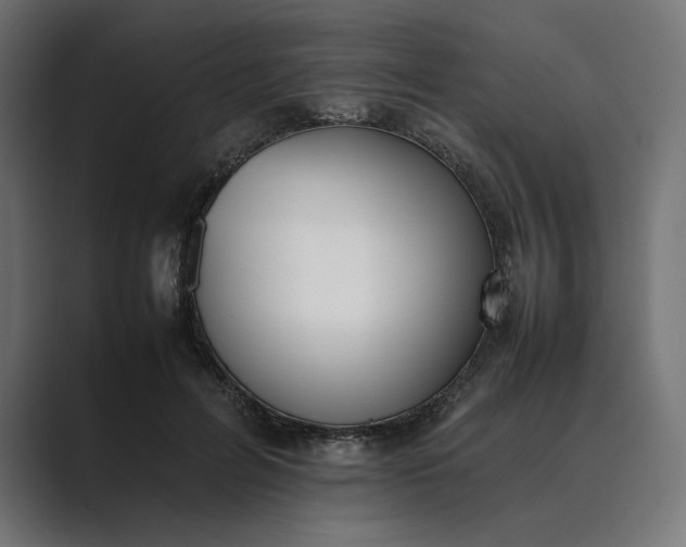 X0000089400600200706291408