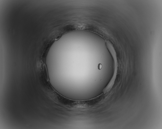 X0000089400601200706291408