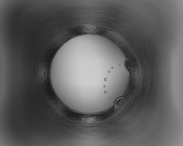 X0000089400602200706291408