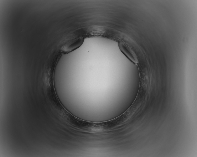 X0000089400604200706291408