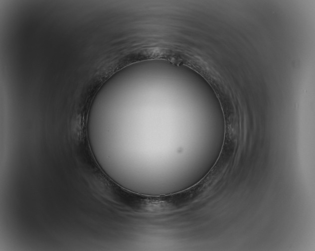 X0000089400605200706291408