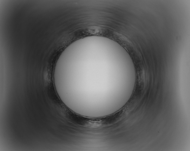 X0000089400606200706291408