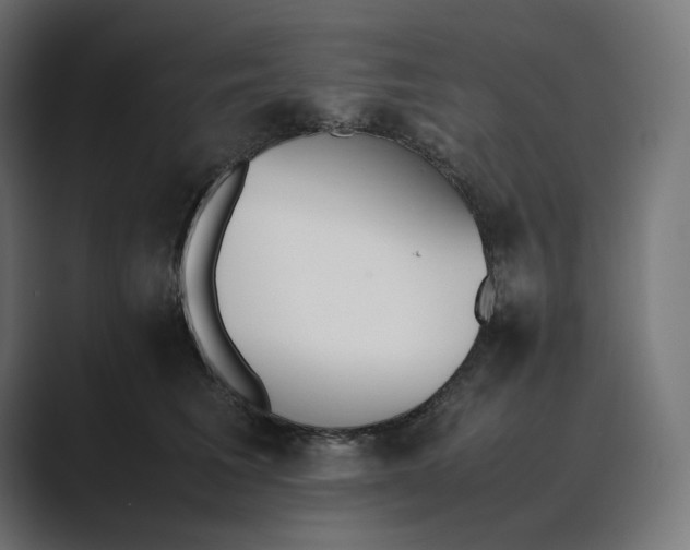 X0000089400613200706291408