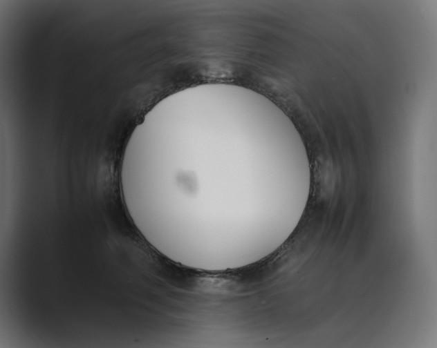 X0000089400614200706291408