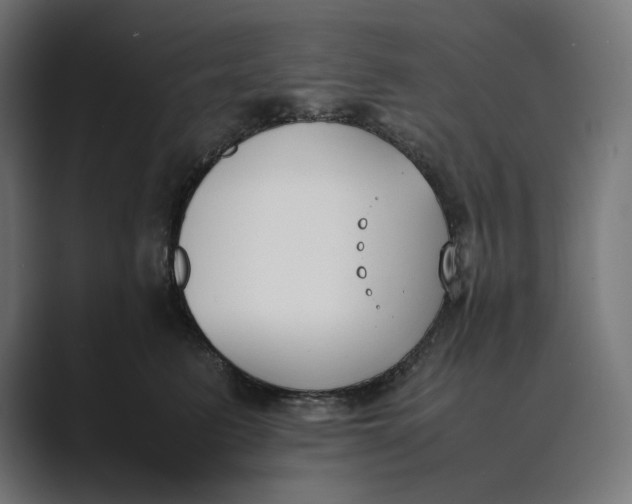 X0000089400615200706291408