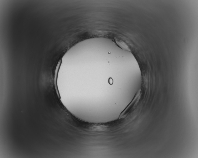 X0000089400617200706291408