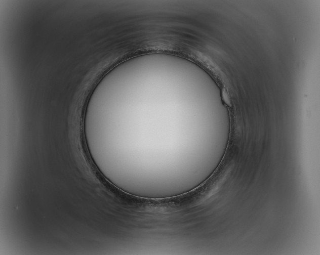 X0000089400625200706291408