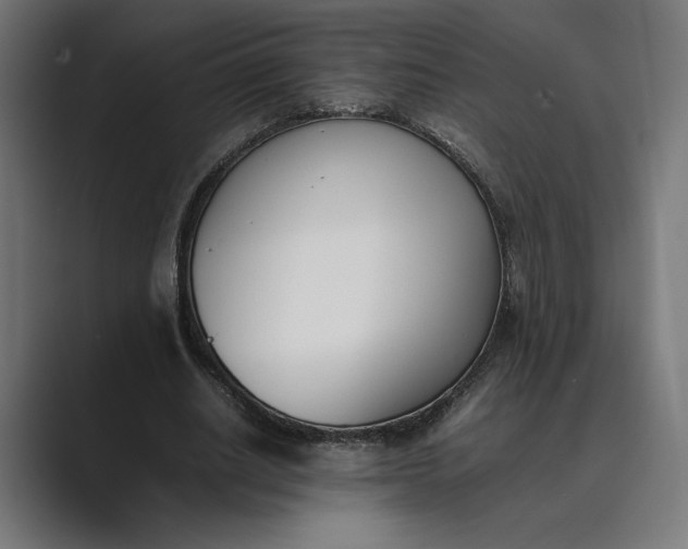 X0000089400630200706291408