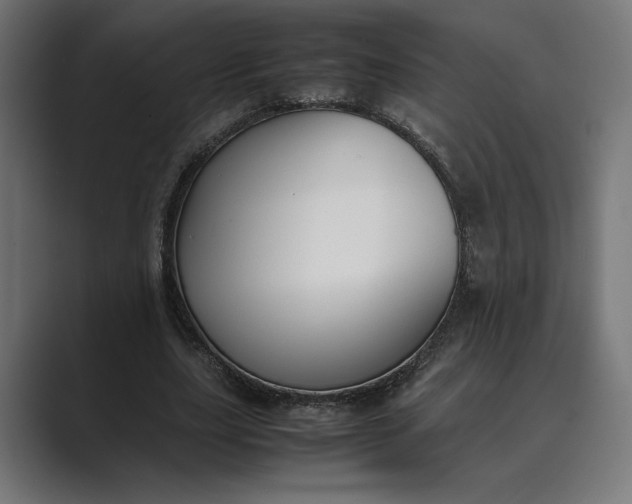 X0000089400631200706291408