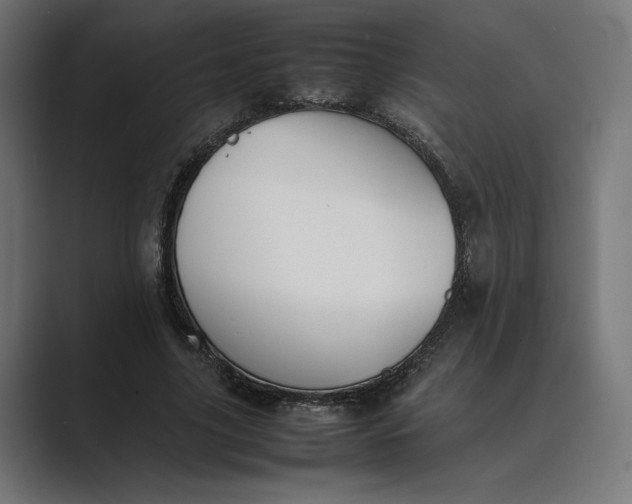 X0000089400635200706291408