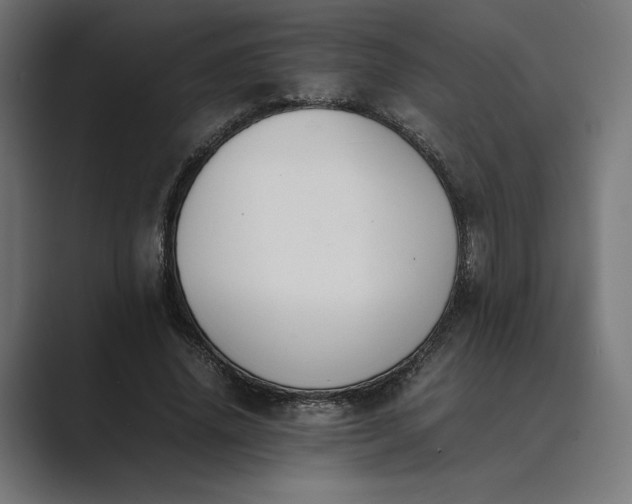 X0000089400636200706291408