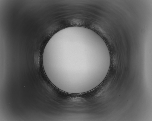 X0000089400637200706291408