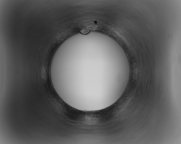 X0000089400641200706291408