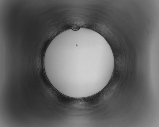 X0000089400642200706291408