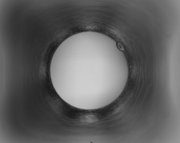 X0000089400643200706291408