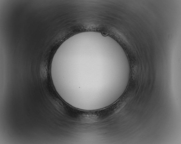 X0000089400644200706291408