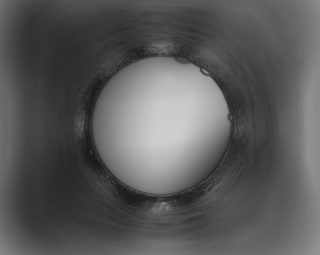 X0000089400647200706291408