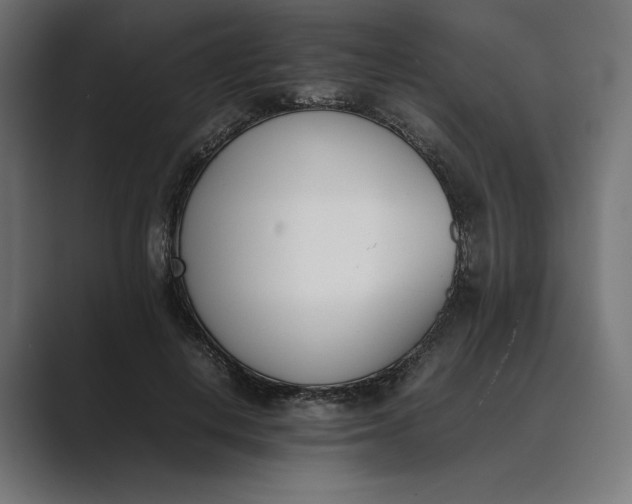 X0000089400648200706291408