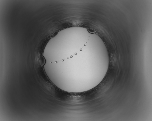 X0000089400650200706291408