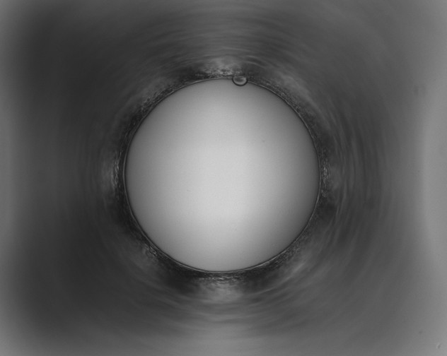 X0000089400652200706291408