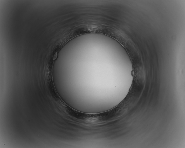 X0000089400653200706291408